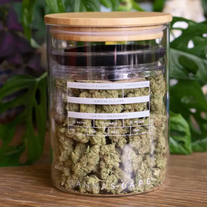 Cannascape® 7" Glass Stash Jar - (1 Count)-stash jar-BeastBranding