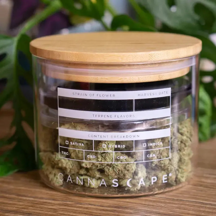 Cannascape® 4" Glass Stash Jar - (1 Count)-stash jar